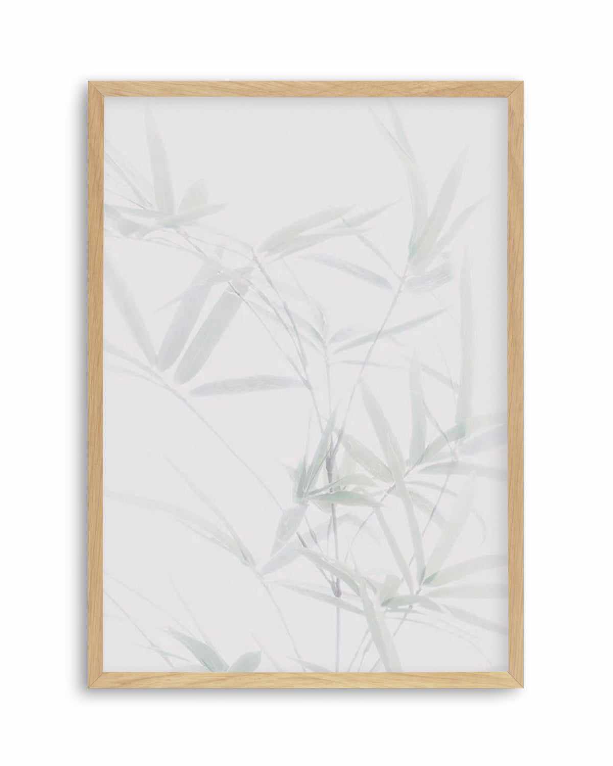 Bamboo II Art Print