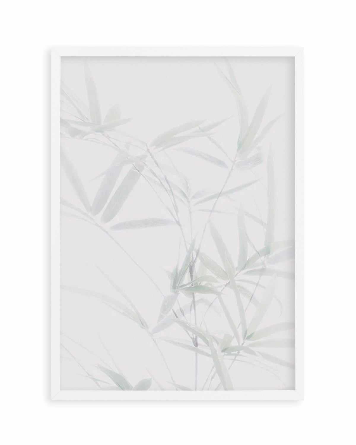 Bamboo II Art Print