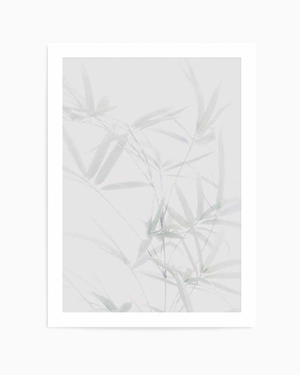 Bamboo II Art Print