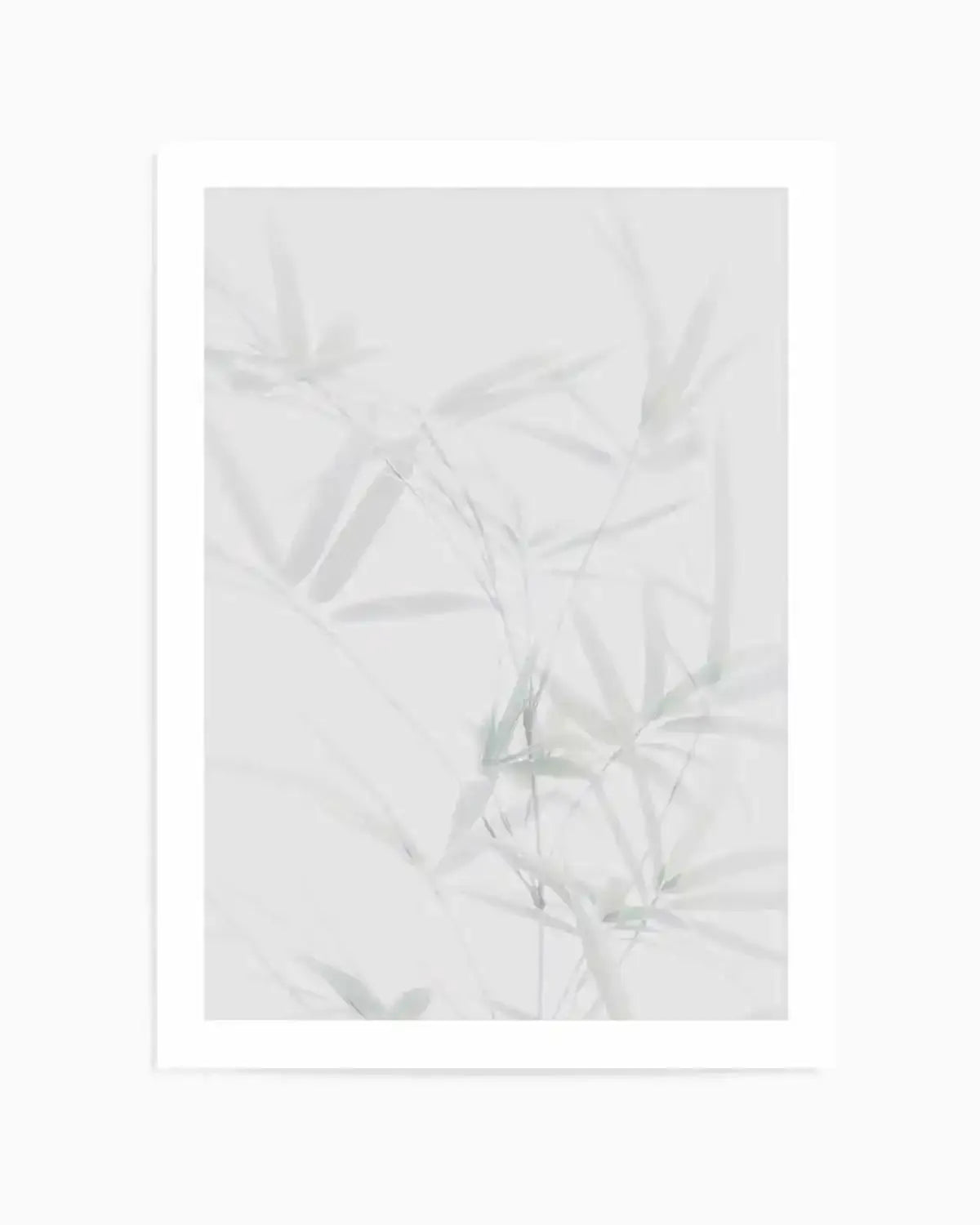 Bamboo II Art Print from Olive et Oriel where you can shop wallpaper and artworks online