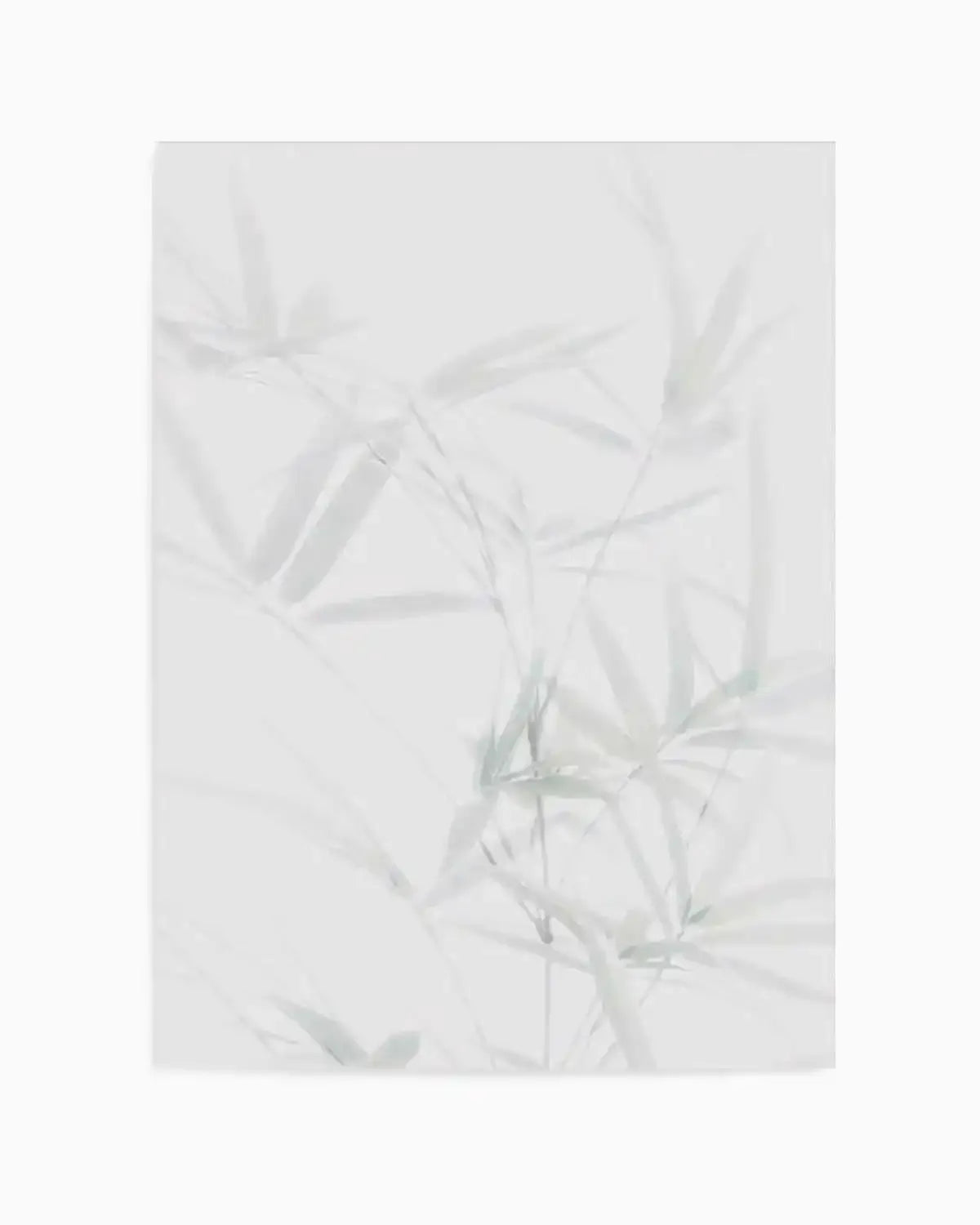 Bamboo II Art Print from Olive et Oriel where you can shop wallpaper and artworks online
