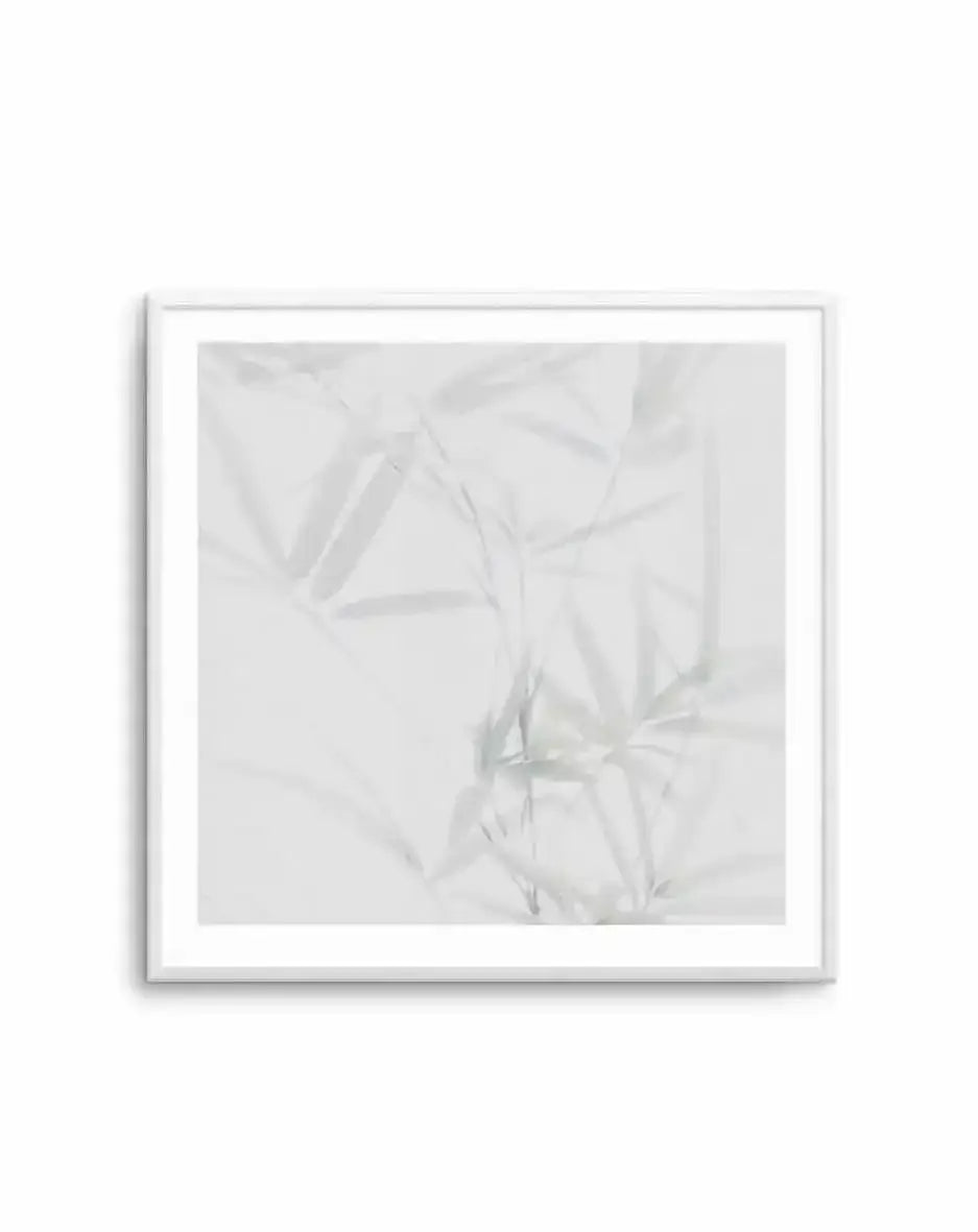 Bamboo II | SQ Art Print-PRINT-Olive et Oriel-Olive et Oriel-Buy-Australian-Art-Prints-Online-with-Olive-et-Oriel-Your-Artwork-Specialists-Austrailia-Decorate-With-Coastal-Photo-Wall-Art-Prints-From-Our-Beach-House-Artwork-Collection-Fine-Poster-and-Framed-Artwork