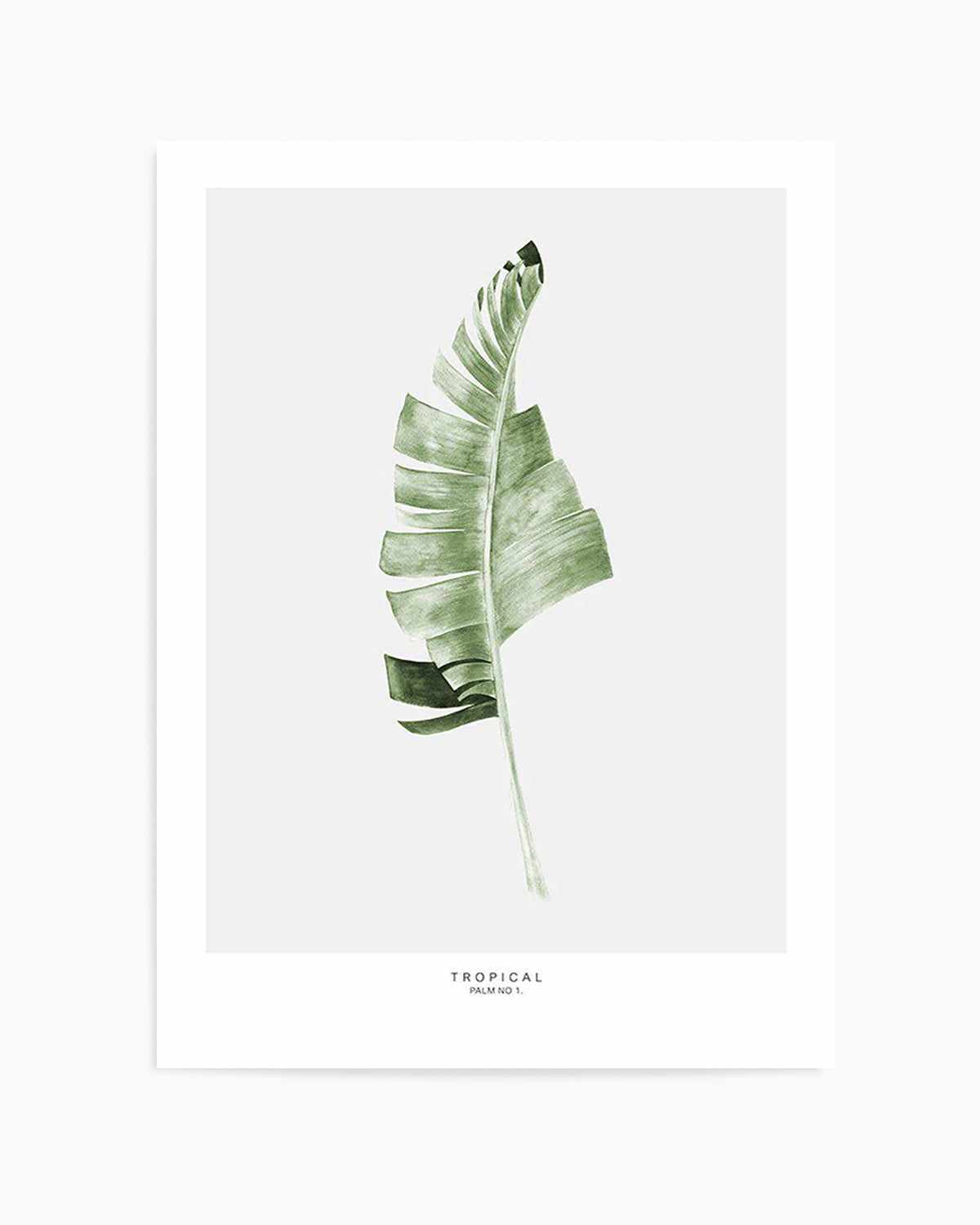 Banana Leaf I Art Print