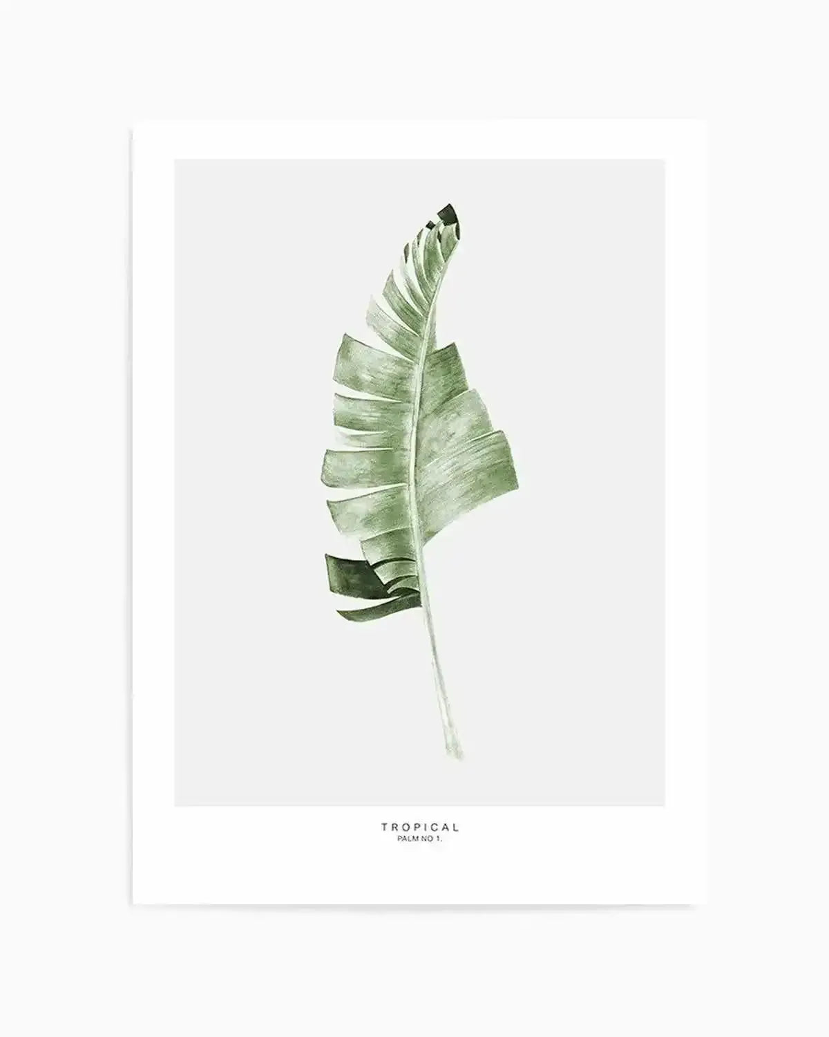 Banana Leaf I Art Print from Olive et Oriel where you can shop wallpaper and artworks online