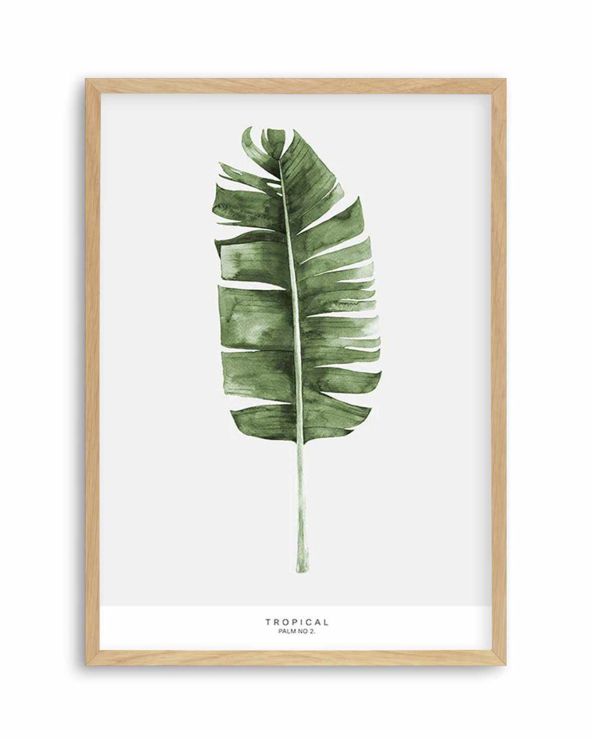 Banana Leaf II Art Print