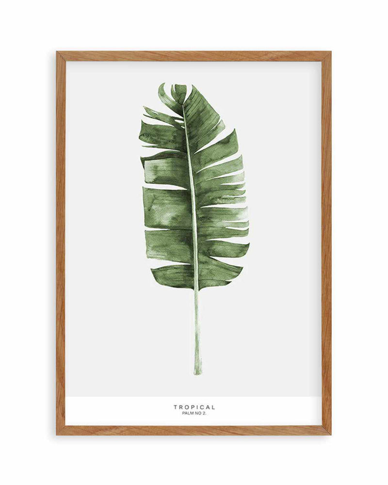 Banana Leaf II Art Print
