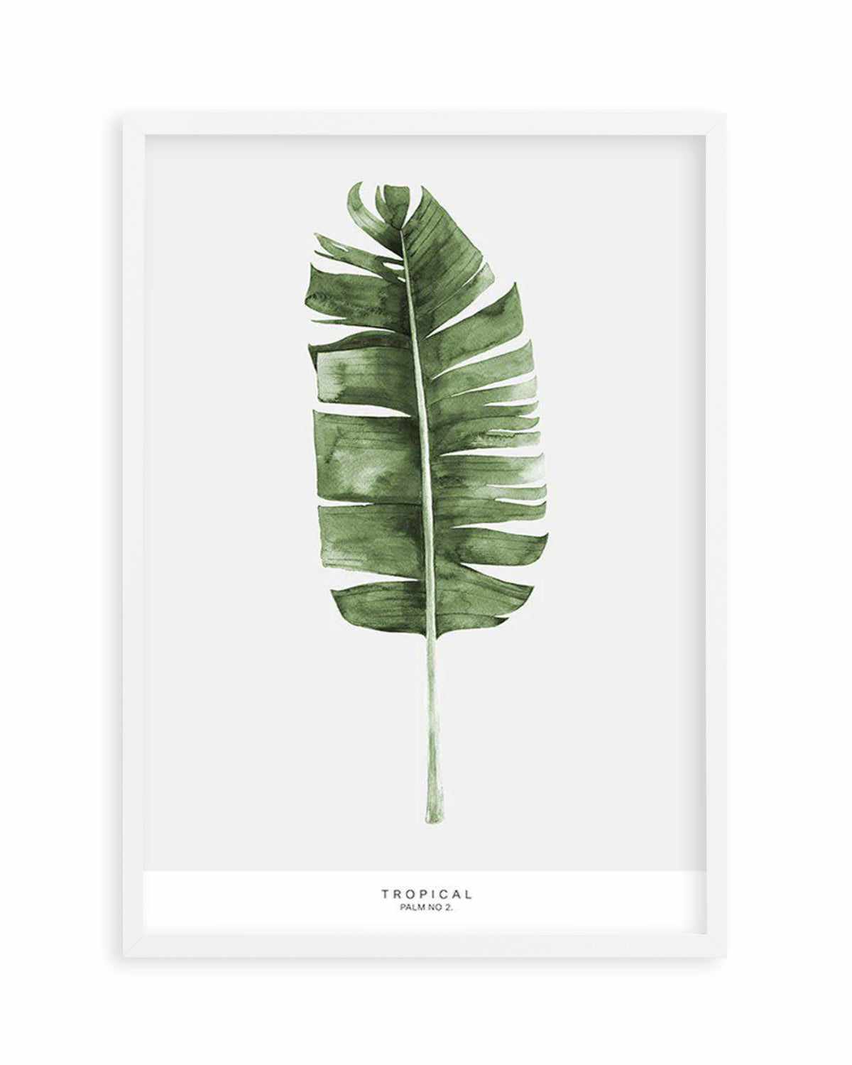 Banana Leaf II Art Print