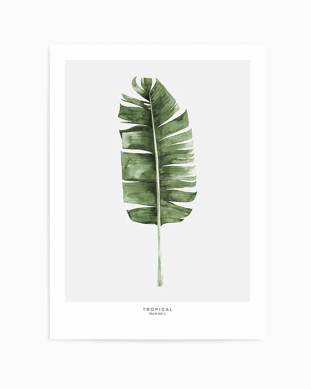 Banana Leaf II Art Print