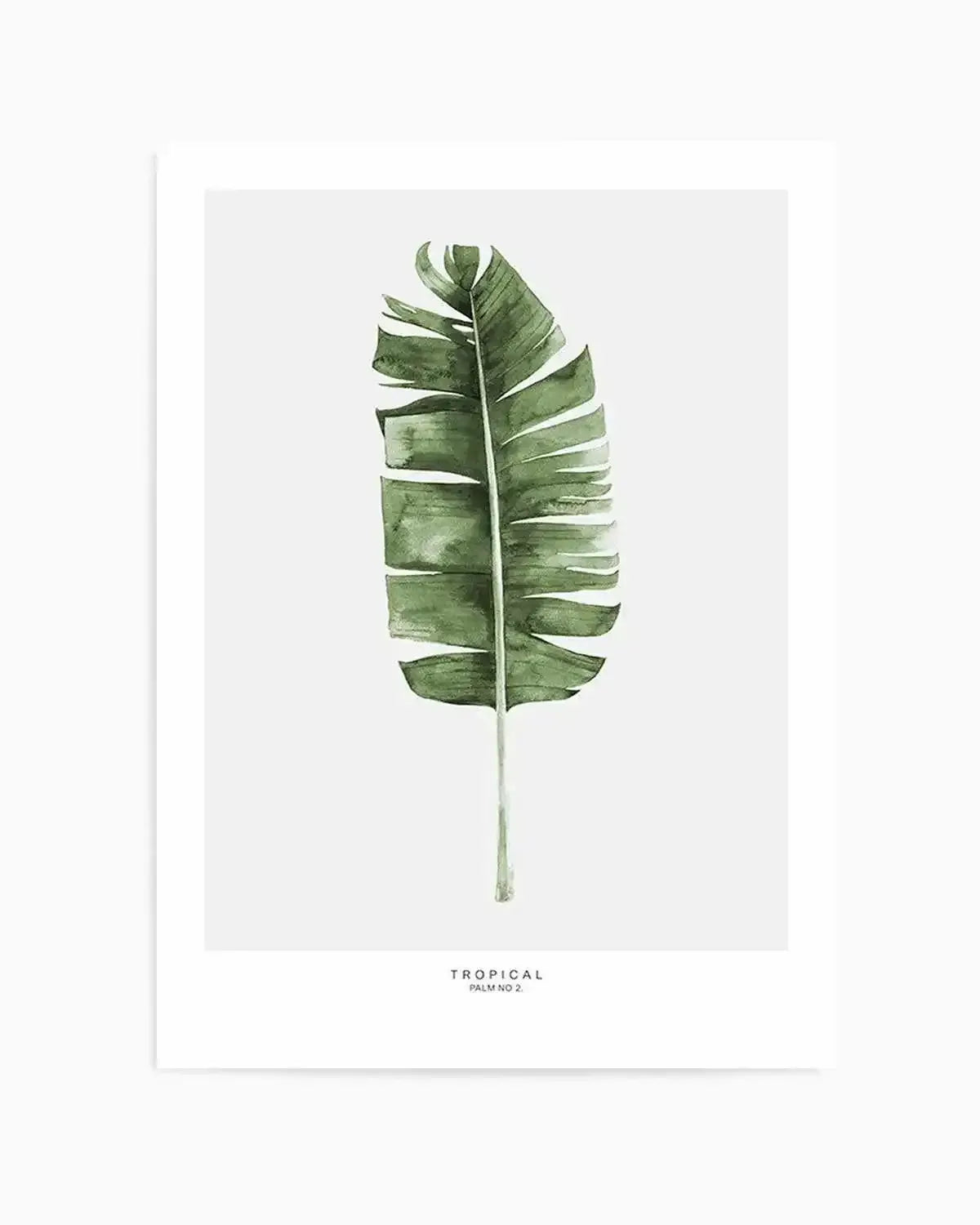 Banana Leaf II Art Print from Olive et Oriel where you can shop wallpaper and artworks online