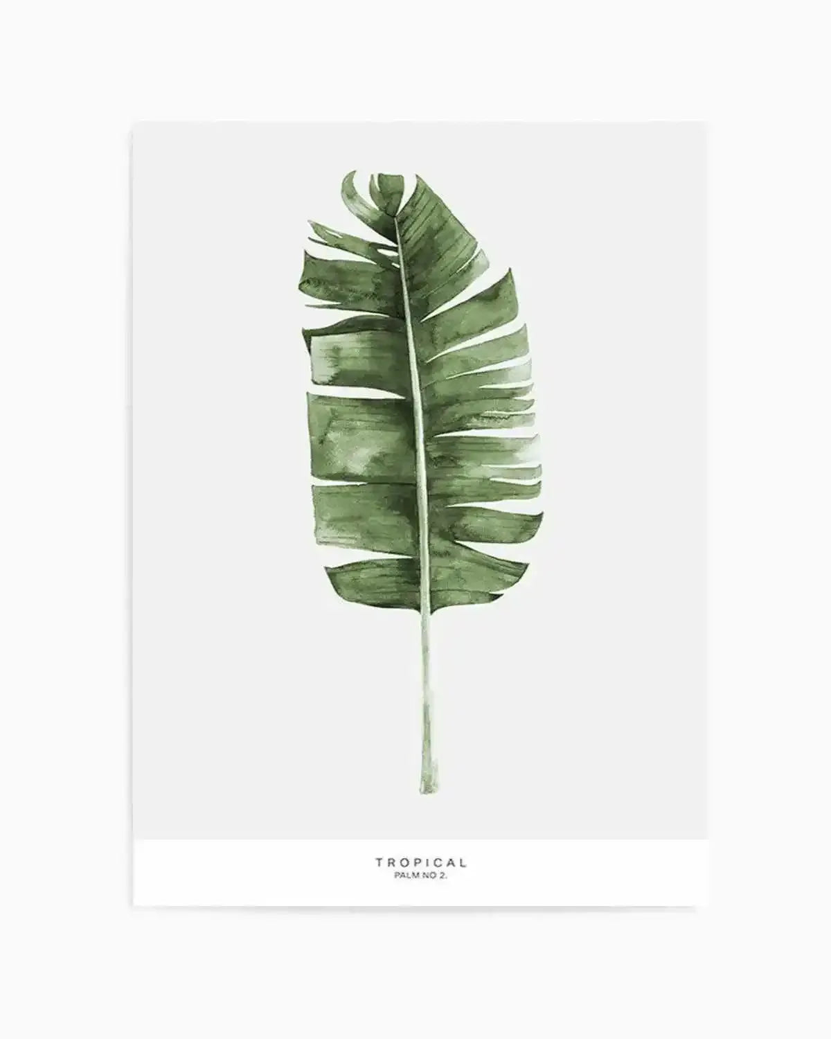 Banana Leaf II Art Print from Olive et Oriel where you can shop wallpaper and artworks online