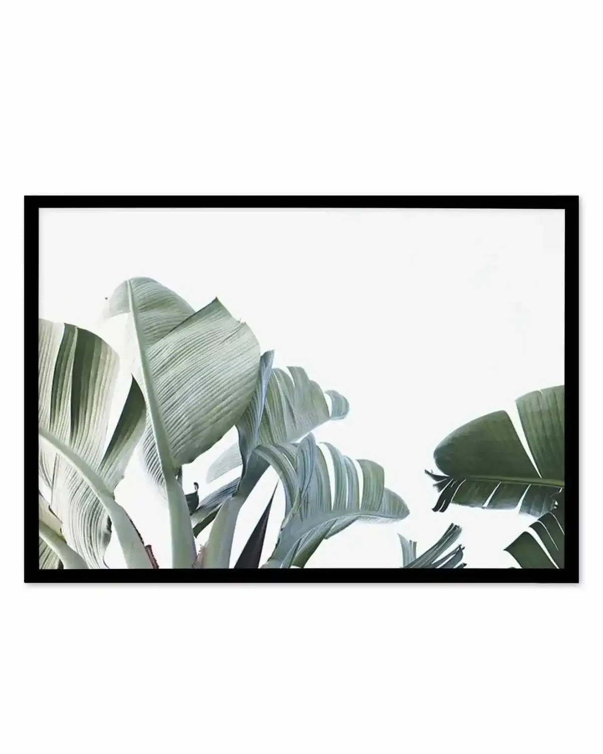 Banana Palm Leaves Art Print from Olive et Oriel where you can shop wallpaper and artworks online