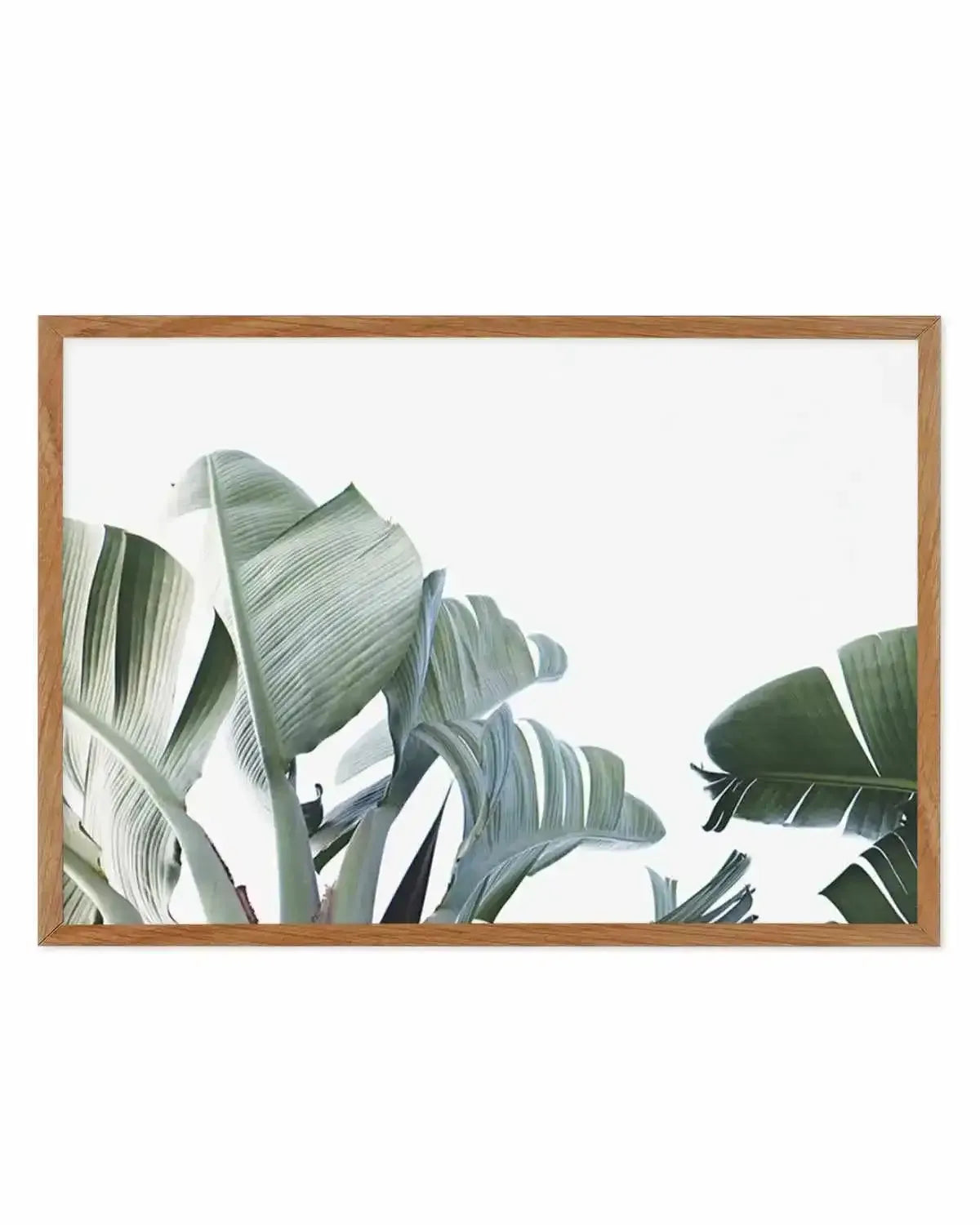 Banana Palm Leaves Art Print from Olive et Oriel where you can shop wallpaper and artworks online