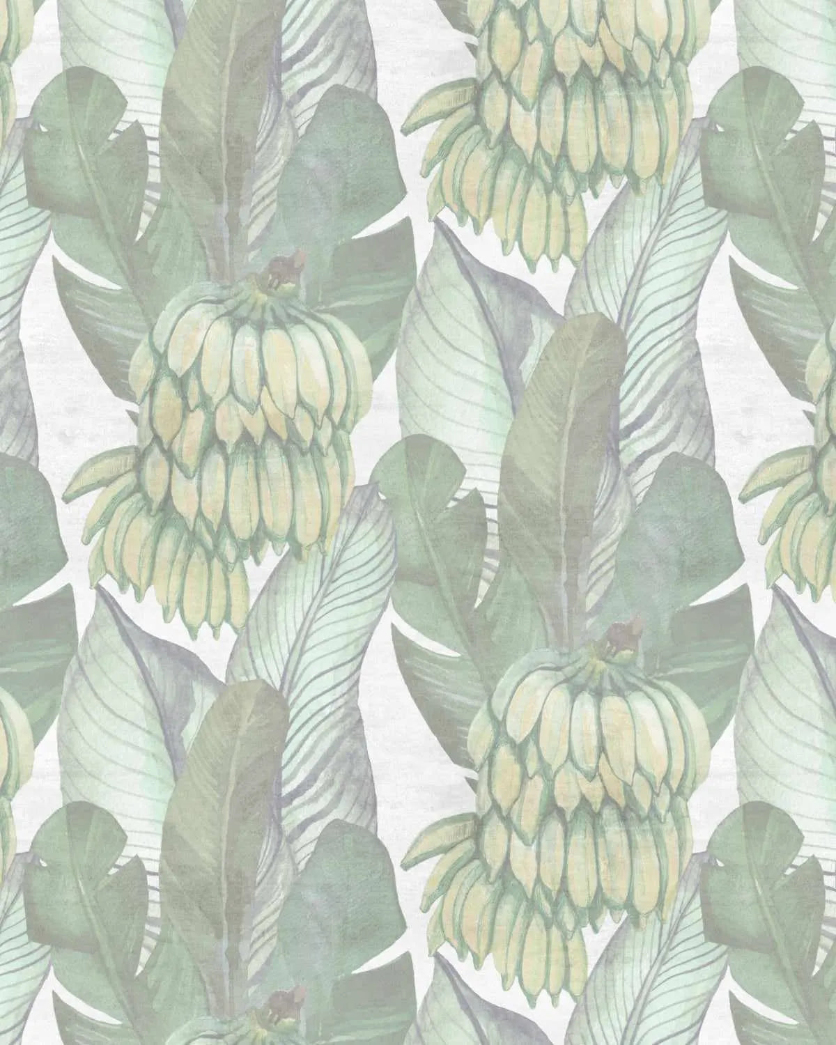 Banana Palm Wallpaper-Wallpaper-Buy Australian Removable Wallpaper Now Sage Green Wallpaper Peel And Stick Wallpaper Online At Olive et Oriel Custom Made Wallpapers Wall Papers Decorate Your Bedroom Living Room Kids Room or Commercial Interior