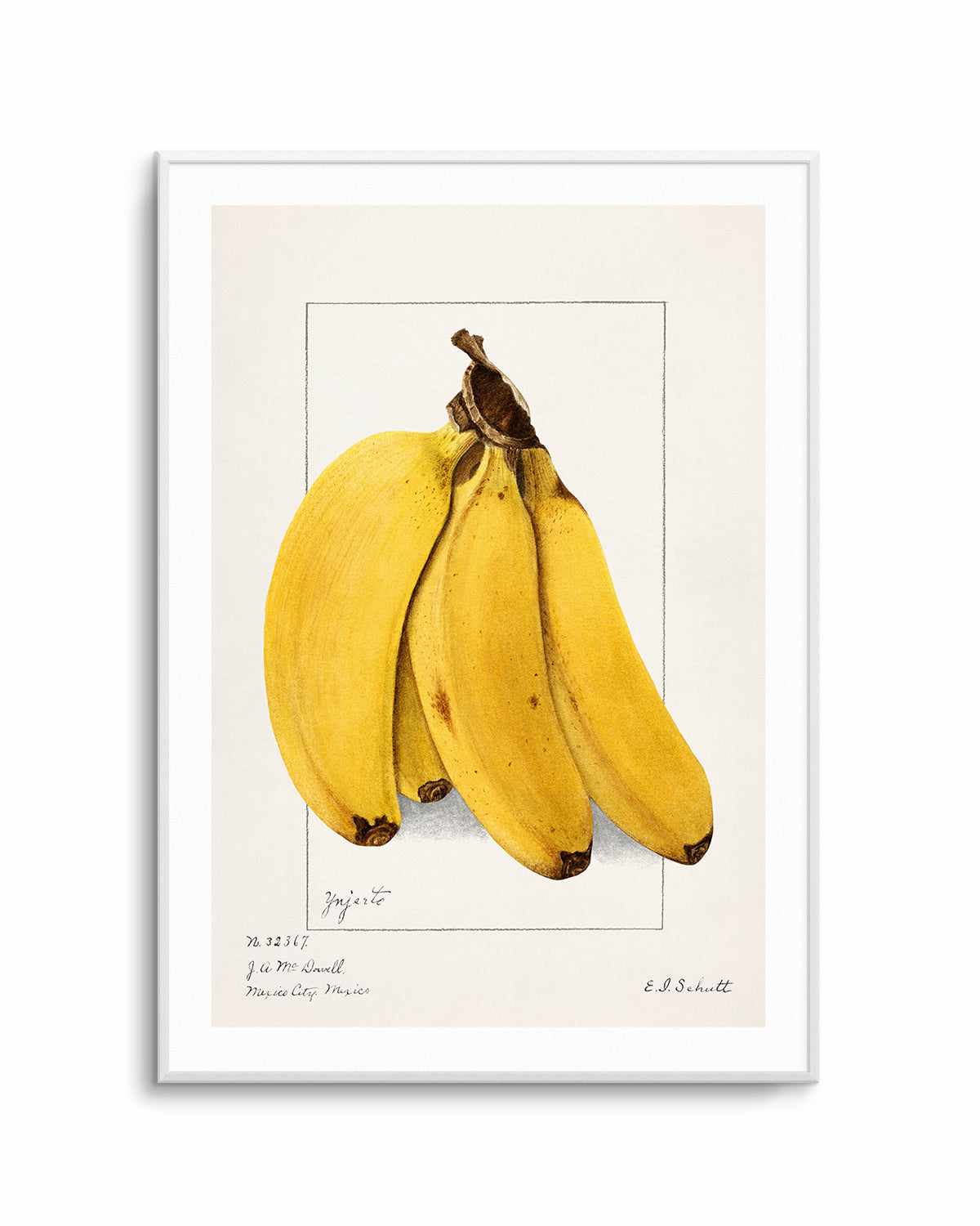 Bananas Vintage Poster Art Print