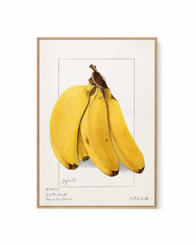 How to Draw a Banana - Two Realistic Banana Drawing Tutorials To Try