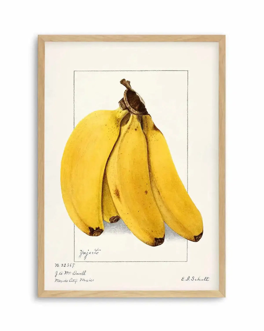 Bananas Vintage Poster Art Print from Olive et Oriel where you can shop wallpaper and artworks online