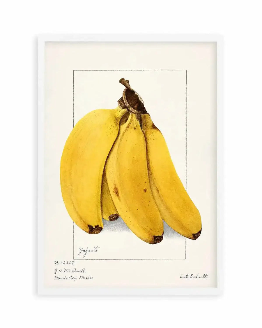 Bananas Vintage Poster Art Print from Olive et Oriel where you can shop wallpaper and artworks online