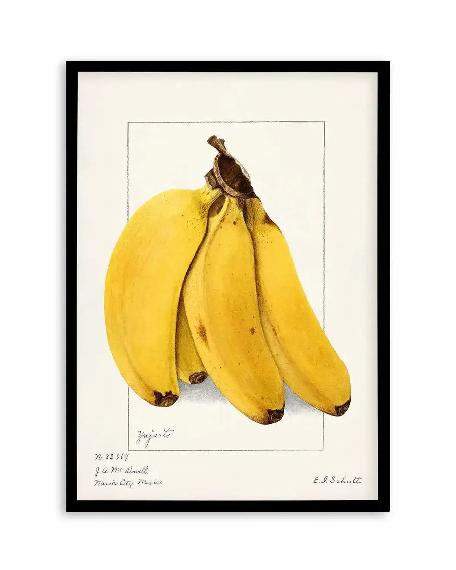Bananas Vintage Poster Art Print from Olive et Oriel where you can shop wallpaper and artworks online