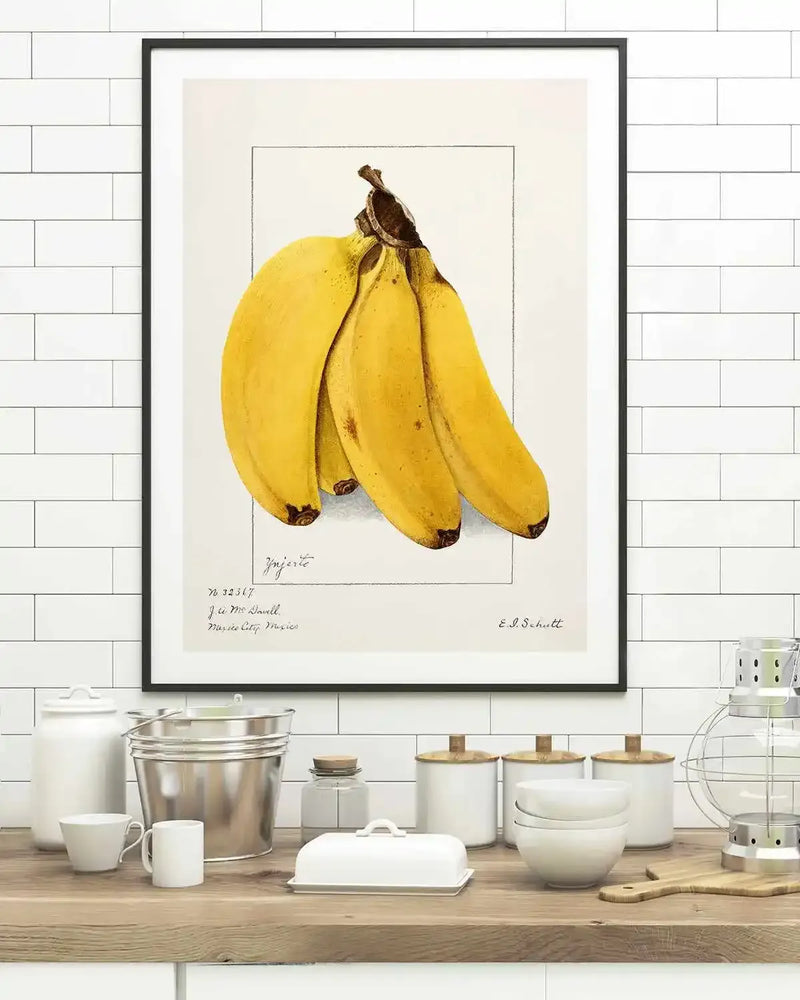 Bananas Vintage Poster Art Print from Olive et Oriel where you can shop wallpaper and artworks online