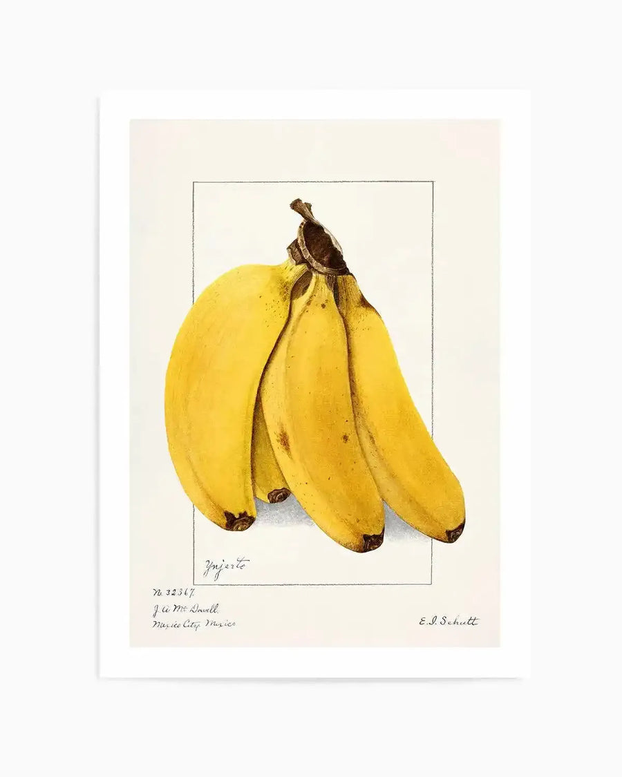 Bananas Vintage Poster Art Print from Olive et Oriel where you can shop wallpaper and artworks online