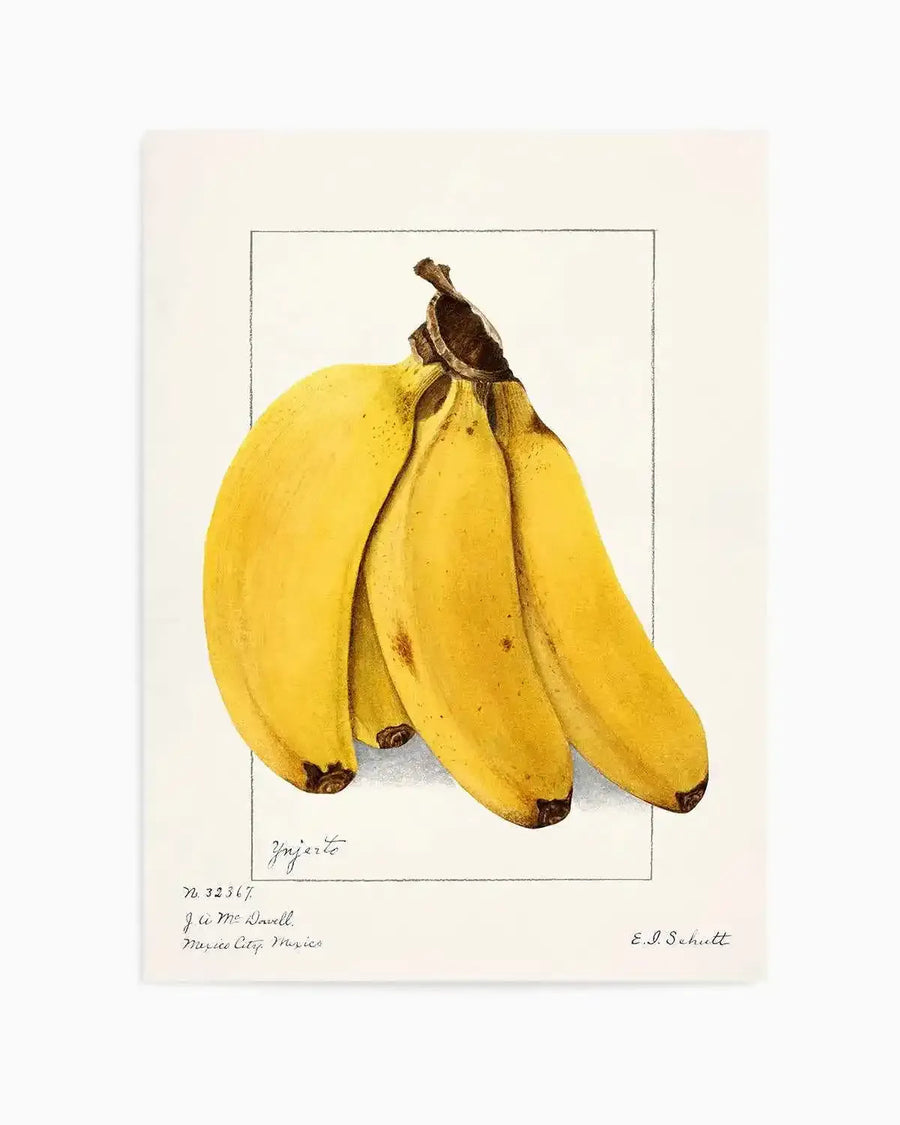 Bananas Vintage Poster Art Print from Olive et Oriel where you can shop wallpaper and artworks online