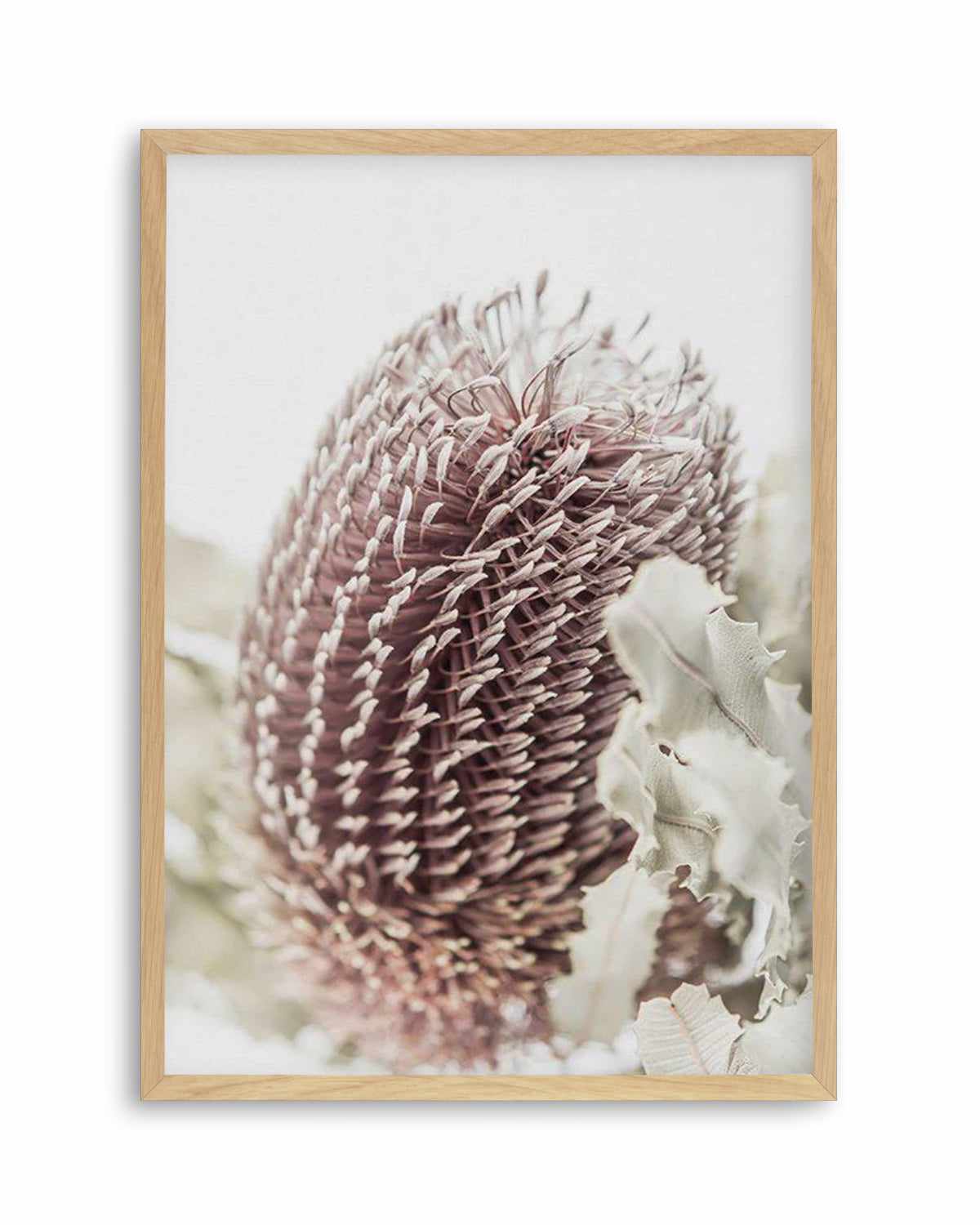 Banksia I Art Print