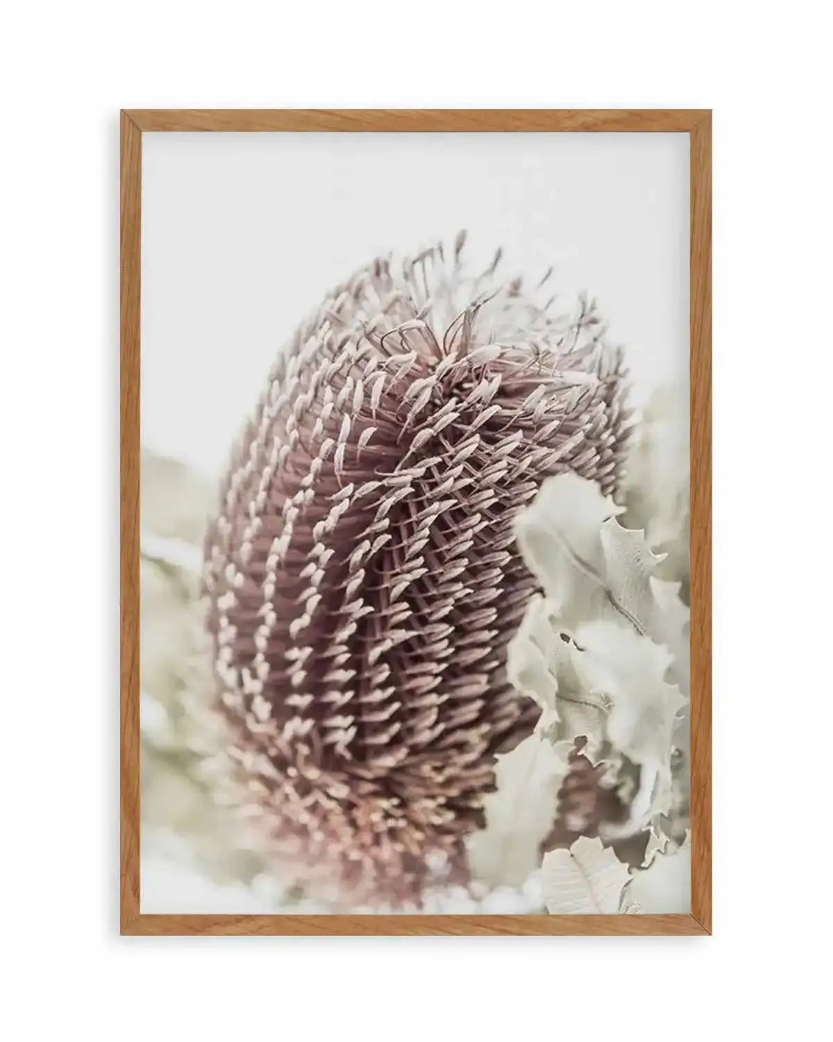 Banksia I Art Print from Olive et Oriel where you can shop wallpaper and artworks online