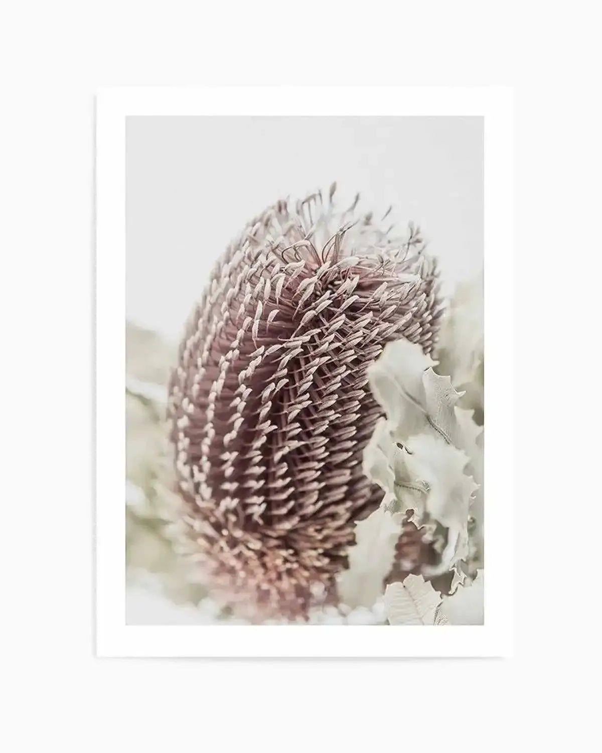 Banksia I Art Print from Olive et Oriel where you can shop wallpaper and artworks online