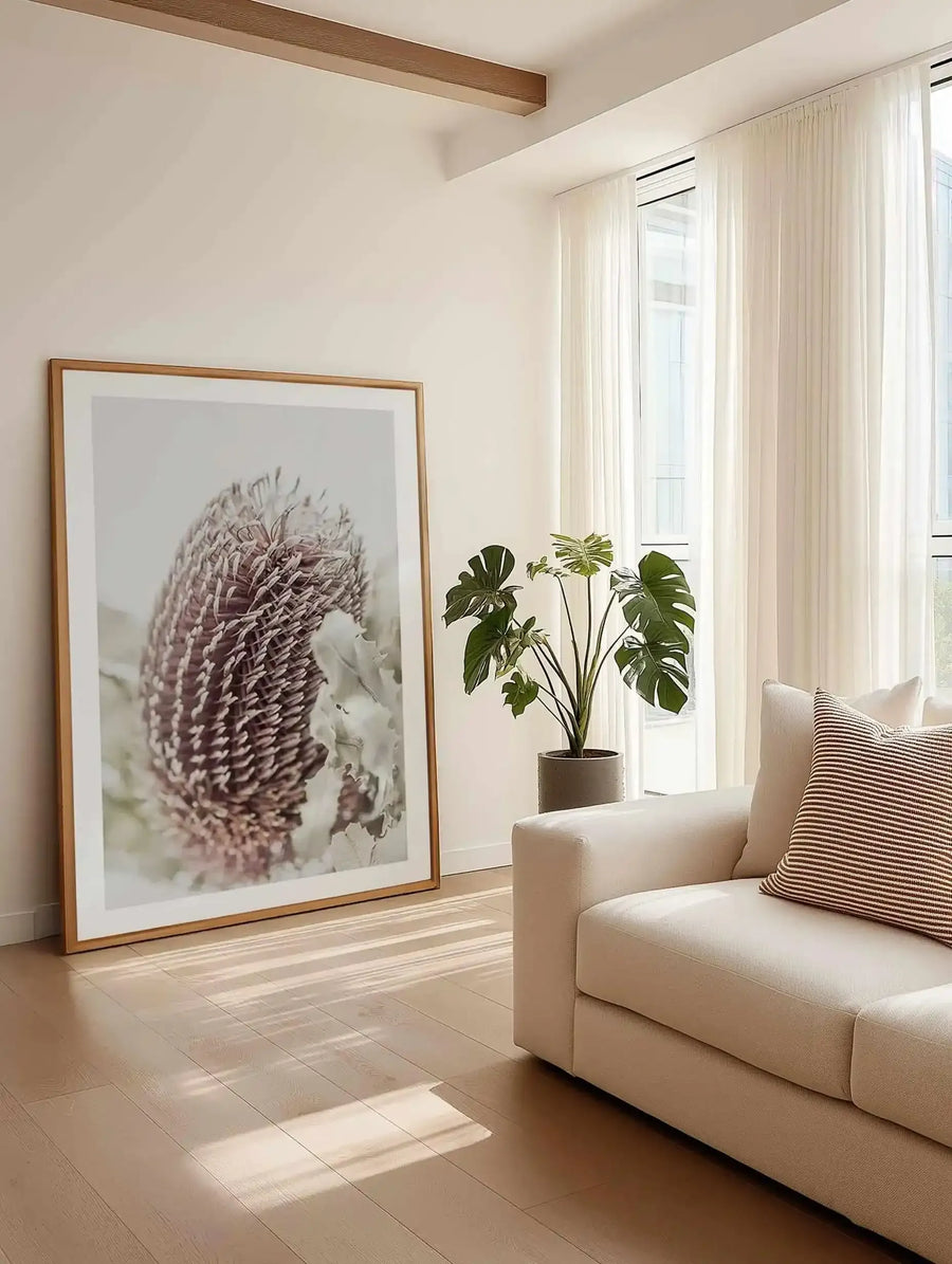 Lifestyle shot of a minimalist living room with a large framed art print leaning against a cream wall. The print features a close-up photograph of a Banksia flower with spiky, textured petals in shades of dusty rose and cream, with a natural wood frame and white border. A large Monstera plant in a grey pot sits next to the print, and a cream sofa with a striped cushion is visible in the foreground. Sunlight streams through sheer white curtains, casting shadows on the light wood floor.