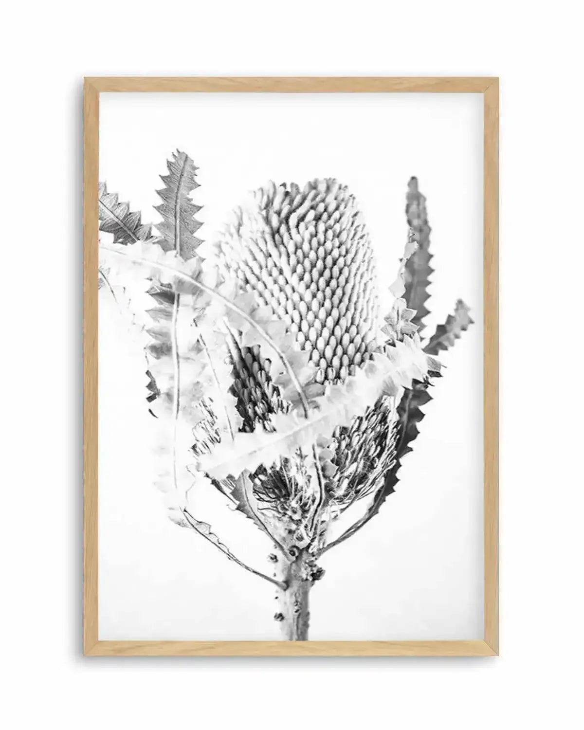 Banksia I B&W Art Print from Olive et Oriel where you can shop wallpaper and artworks online