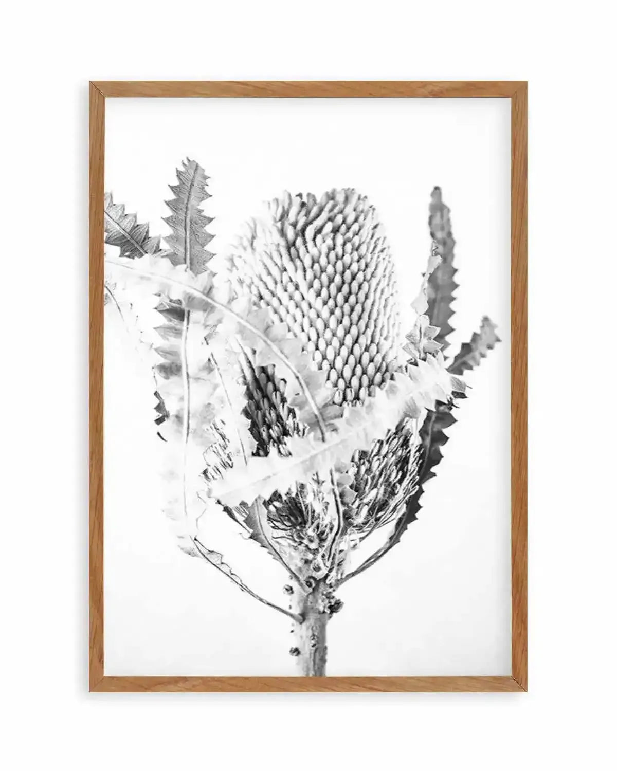 Banksia I B&W Art Print from Olive et Oriel where you can shop wallpaper and artworks online