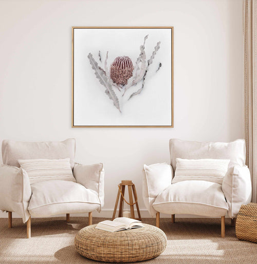 Banksia II | Framed Canvas Art Print