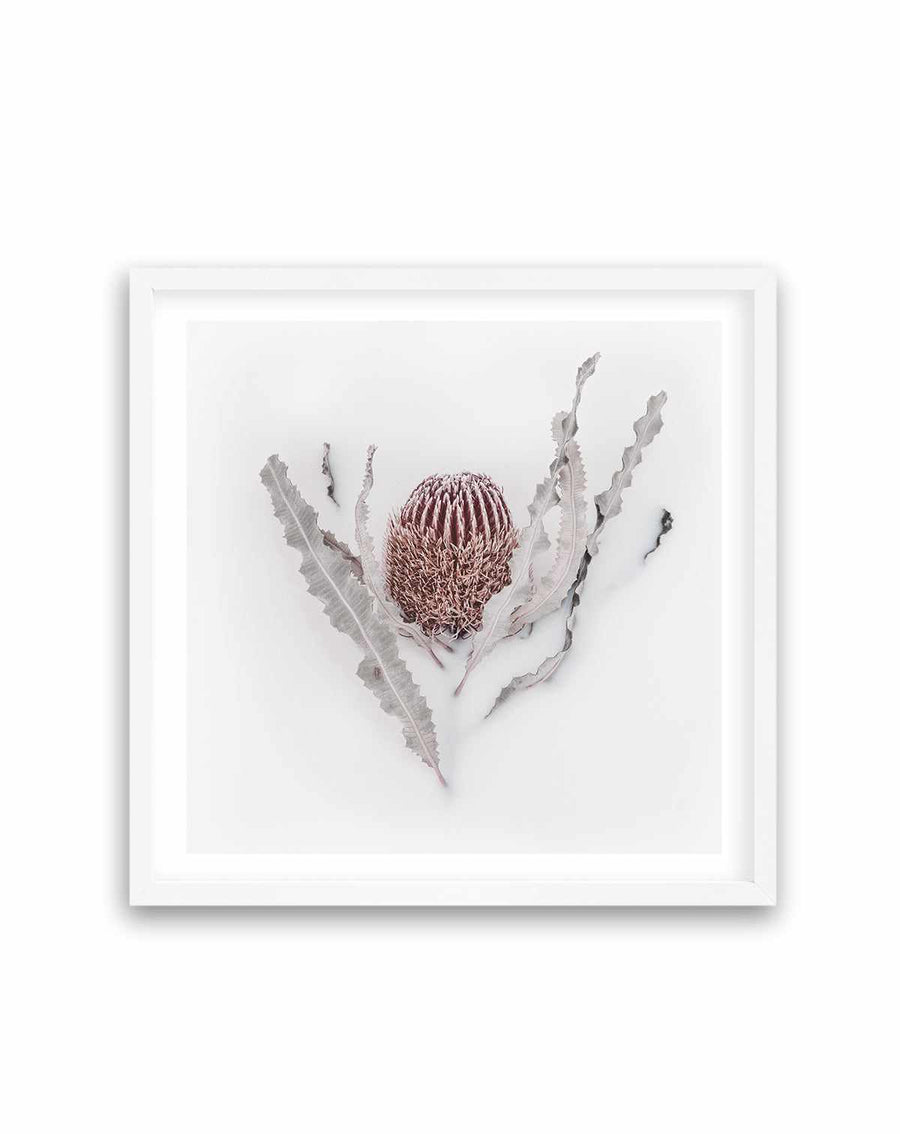 Banksia II | Art Print from Olive et Oriel where you can shop wallpaper and artworks online