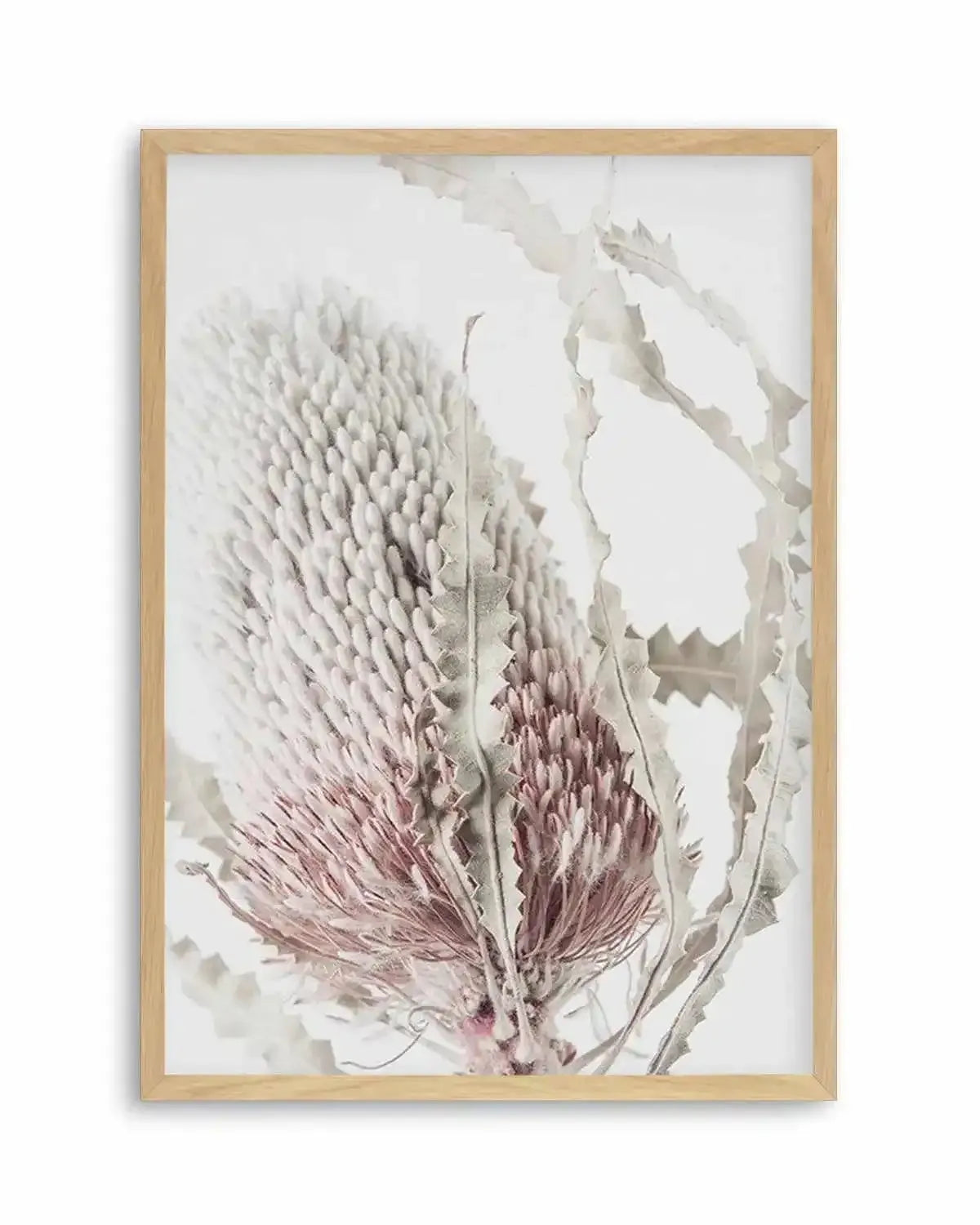 Banksia II Art Print from Olive et Oriel where you can shop wallpaper and artworks online