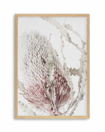 Banksia II Art Print