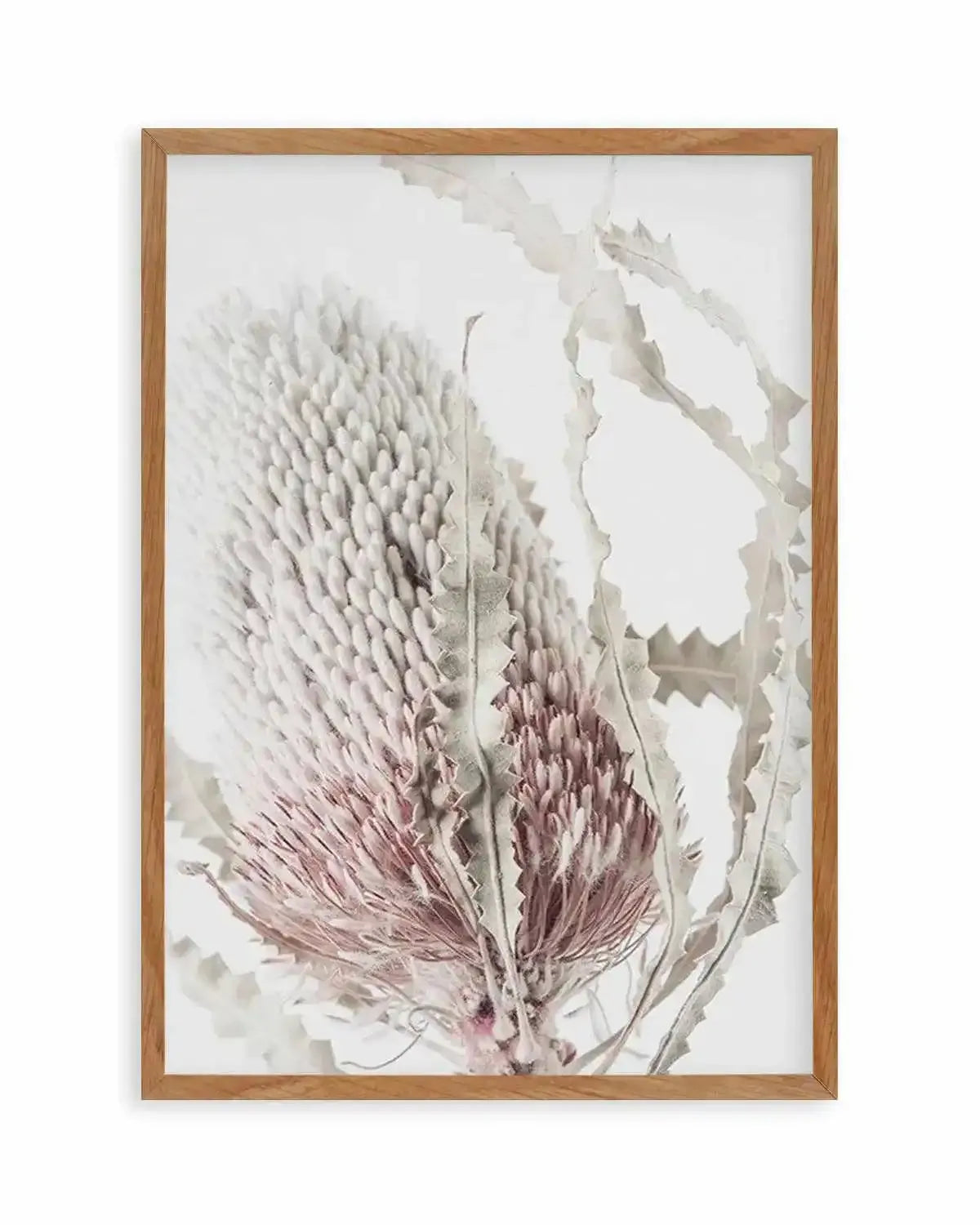 Banksia II Art Print from Olive et Oriel where you can shop wallpaper and artworks online