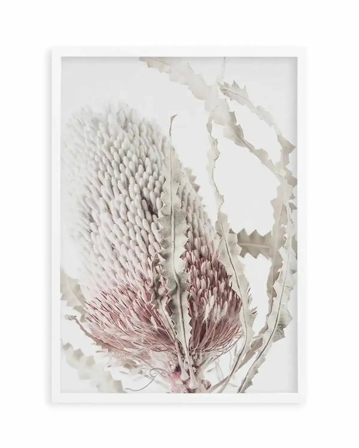 Banksia II Art Print from Olive et Oriel where you can shop wallpaper and artworks online