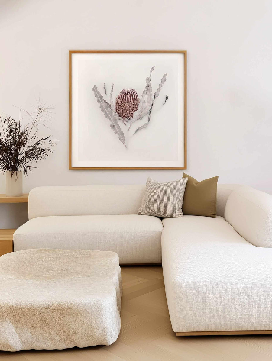 Banksia II | Art Print from Olive et Oriel where you can shop wallpaper and artworks online