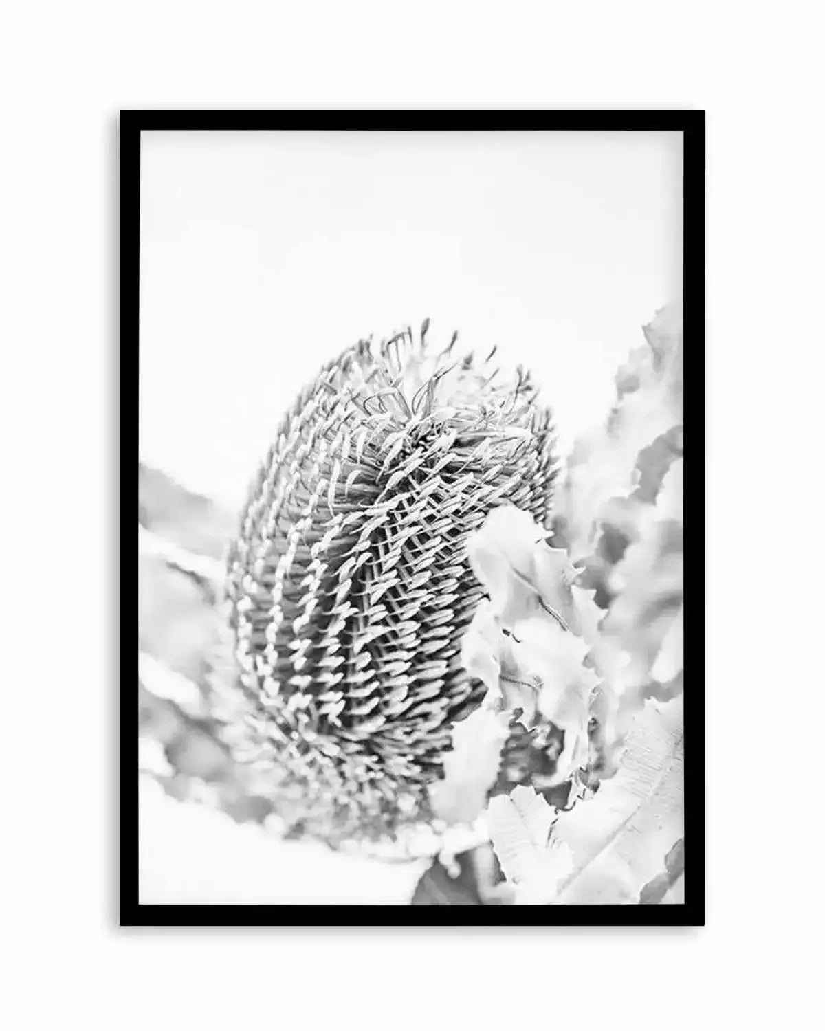 Banksia II B&W Art Print from Olive et Oriel where you can shop wallpaper and artworks online