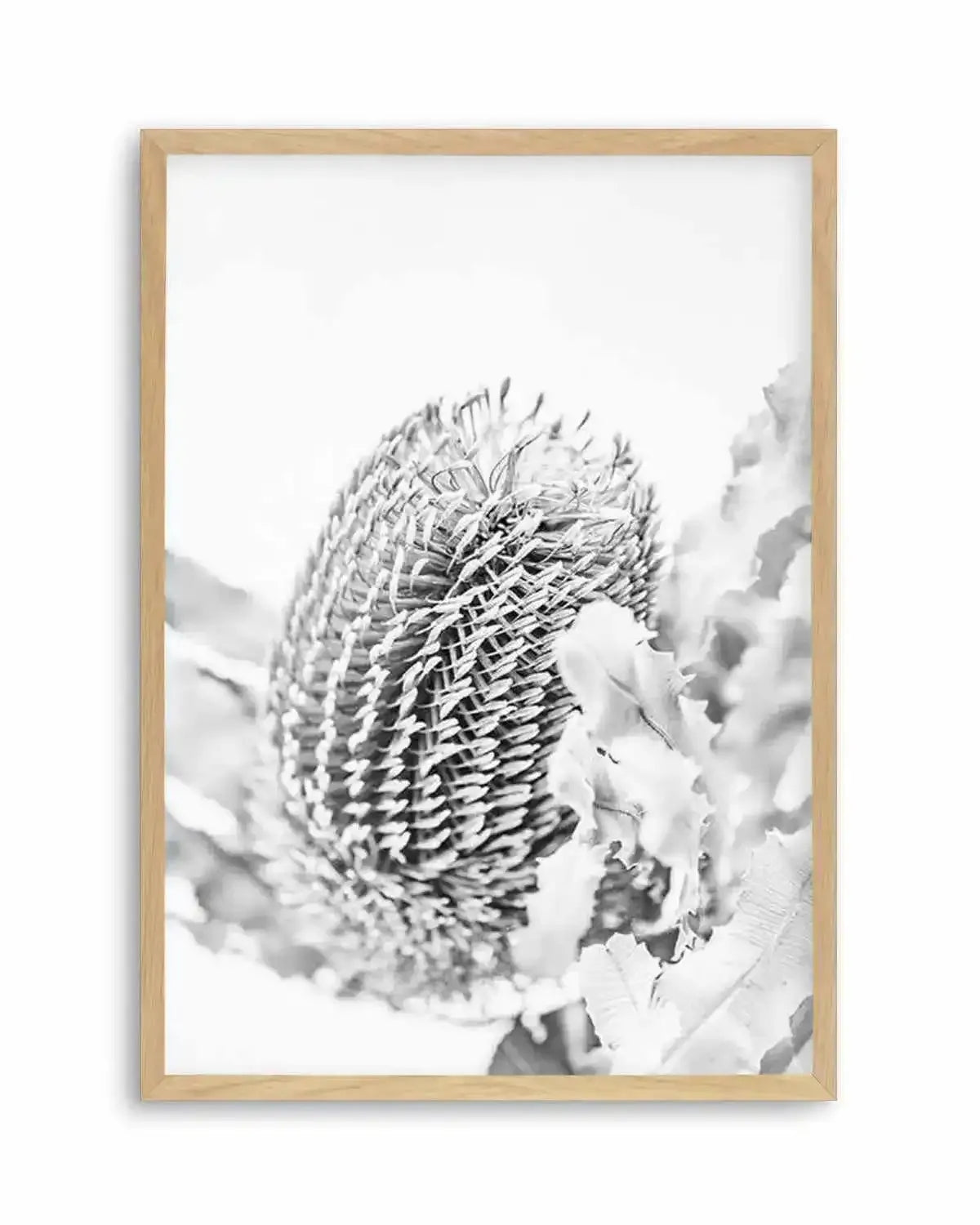Banksia II B&W Art Print from Olive et Oriel where you can shop wallpaper and artworks online