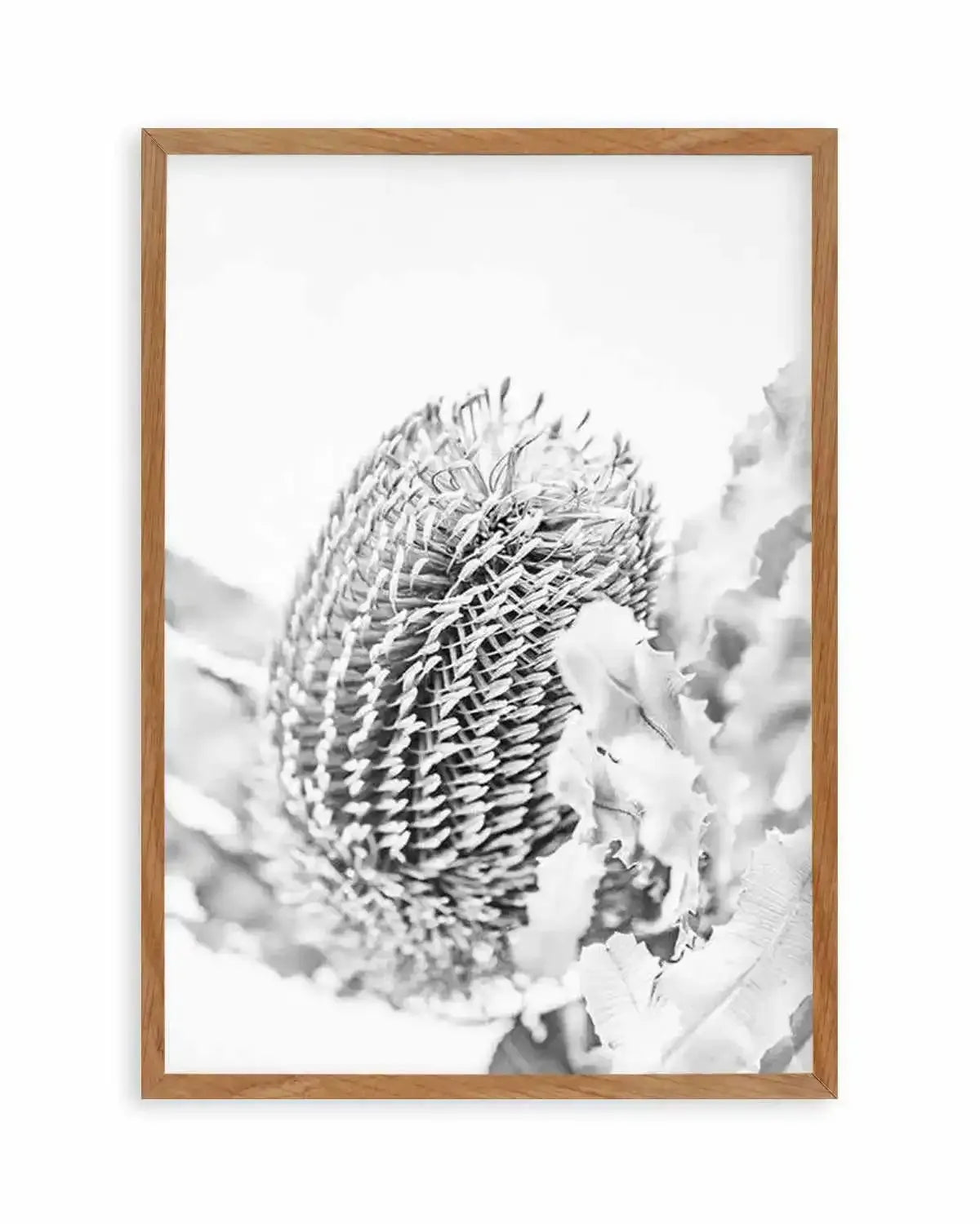 Banksia II B&W Art Print from Olive et Oriel where you can shop wallpaper and artworks online