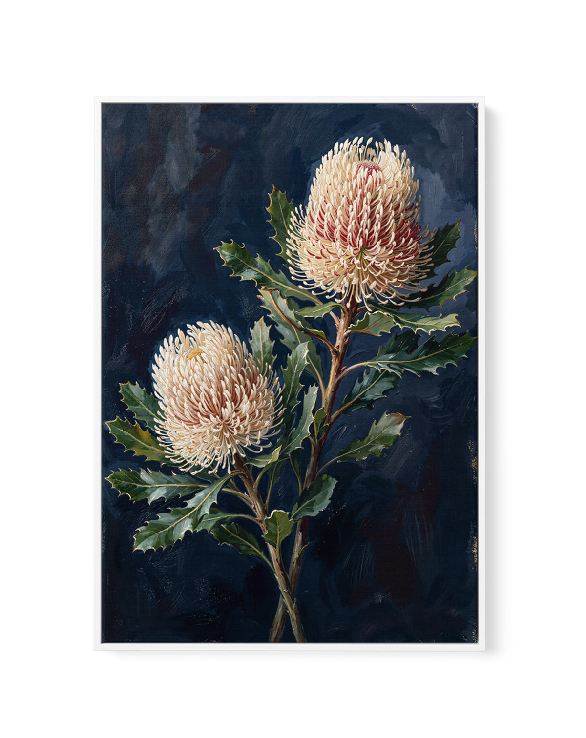 Banksia On Navy Botanicals Study | Framed Canvas Art Print