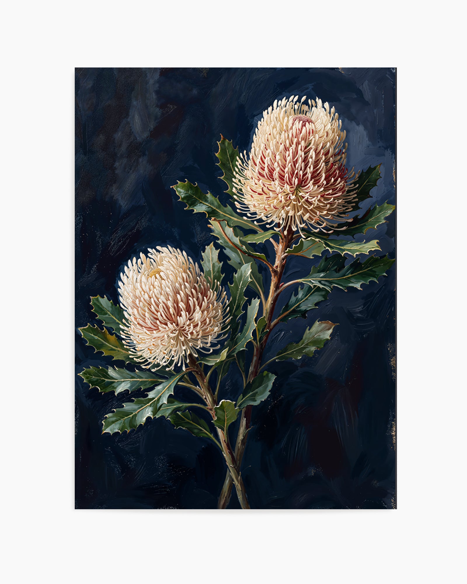 Banksia On Navy Botanicals Study | Art Print