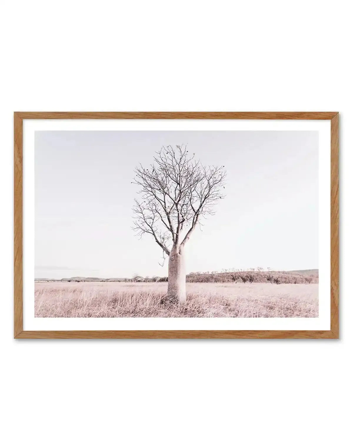 Baobab Tree | Western Australia Art Print-PRINT-Olive et Oriel-Olive et Oriel-50x70 cm | 19.6" x 27.5"-Walnut-With White Border-Buy-Australian-Art-Prints-Online-with-Olive-et-Oriel-Your-Artwork-Specialists-Austrailia-Decorate-With-Coastal-Photo-Wall-Art-Prints-From-Our-Beach-House-Artwork-Collection-Fine-Poster-and-Framed-Artwork