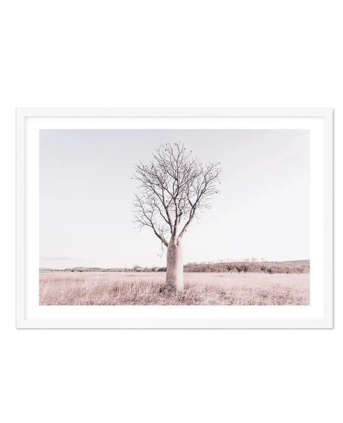 Baobab Tree | Western Australia Art Print-PRINT-Olive et Oriel-Olive et Oriel-A5 | 5.8" x 8.3" | 14.8 x 21cm-Unframed Art Print-With White Border-Buy-Australian-Art-Prints-Online-with-Olive-et-Oriel-Your-Artwork-Specialists-Austrailia-Decorate-With-Coastal-Photo-Wall-Art-Prints-From-Our-Beach-House-Artwork-Collection-Fine-Poster-and-Framed-Artwork