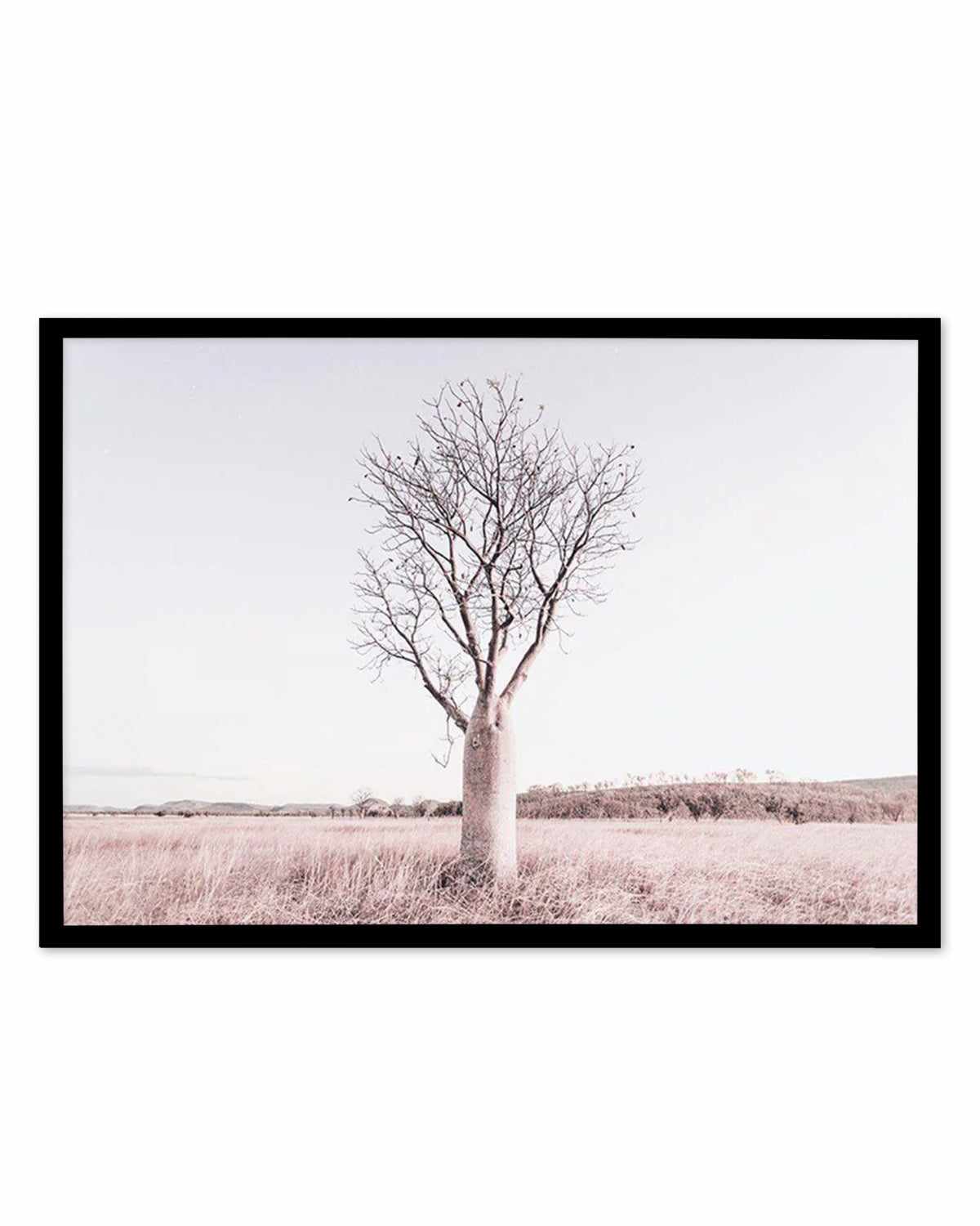 Baobab Tree | Western Australia Art Print