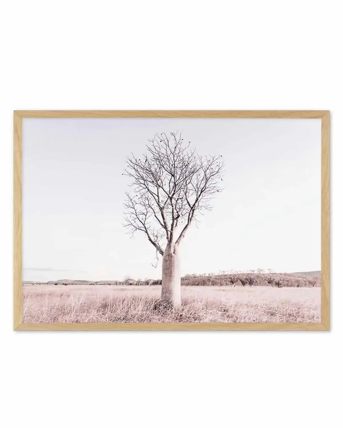 Baobab Tree | Western Australia Art Print from Olive et Oriel where you can shop wallpaper and artworks online