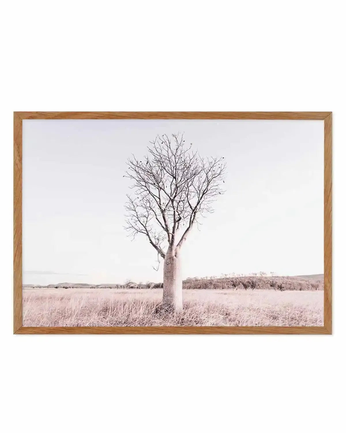 Baobab Tree | Western Australia Art Print from Olive et Oriel where you can shop wallpaper and artworks online