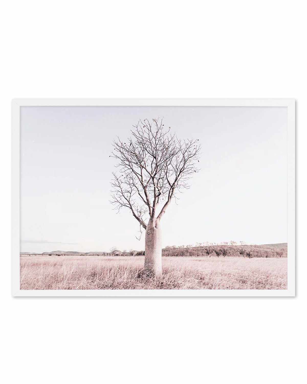 Baobab Tree | Western Australia Art Print