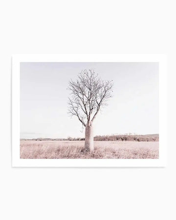 Framed photograph of a solitary boab tree in a vast, dry landscape, rendered in soft, muted tones of pale pink and white. The tree stands centrally with a thick, light-coloured trunk and bare, delicate branches reaching towards a bright, almost white sky. The ground is covered in dry, pale pinkish-brown grass, extending to a distant horizon line with a faint outline of hills and sparse trees.